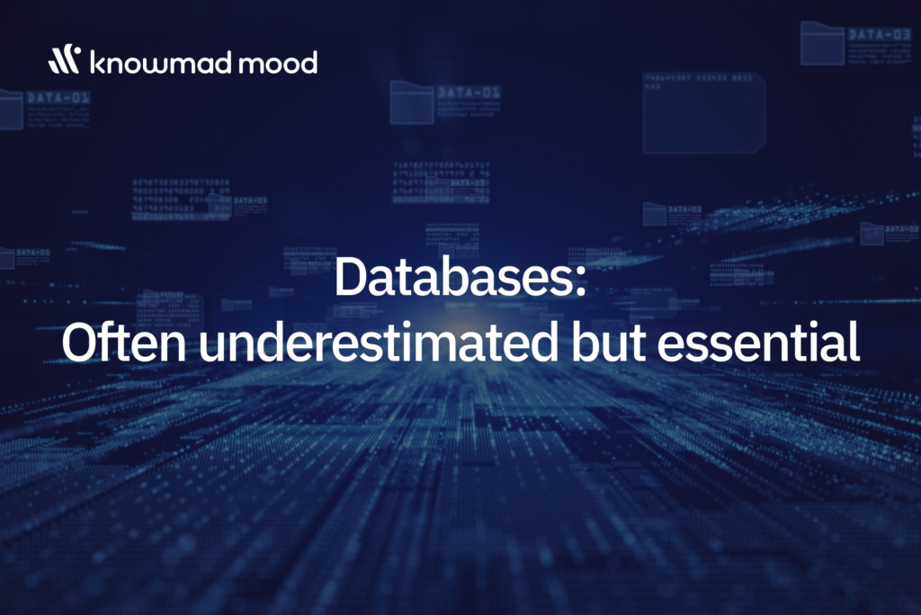 Picture with Blog Title: Database Management: Versioning and Schema Drift
